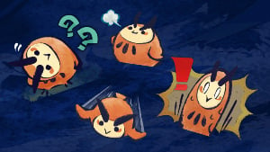 cohoot set stickers mhr wiki guide