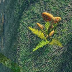 fern patch jungle account items monster hunter rise wiki guide