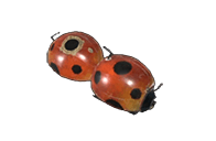 ladybug cannon 1 heavy bowgun mhr wiki guide
