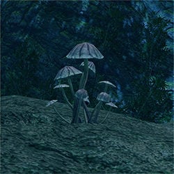 mushroom colony account item gathering monster hunter rise wiki guide