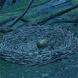 wyvern nest account item gathering monster hunter rise wiki guide